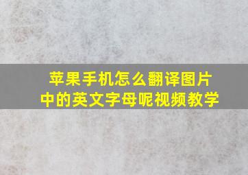 苹果手机怎么翻译图片中的英文字母呢视频教学