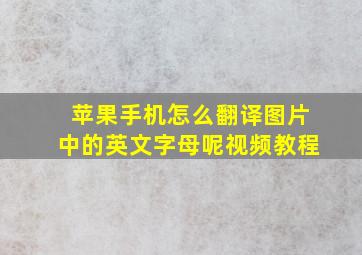 苹果手机怎么翻译图片中的英文字母呢视频教程