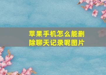 苹果手机怎么能删除聊天记录呢图片