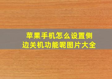 苹果手机怎么设置侧边关机功能呢图片大全