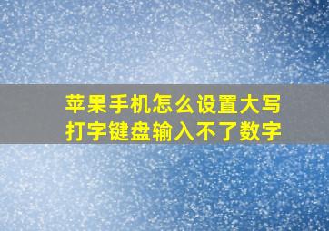 苹果手机怎么设置大写打字键盘输入不了数字