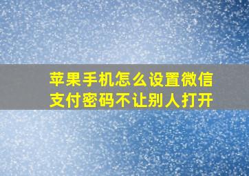 苹果手机怎么设置微信支付密码不让别人打开