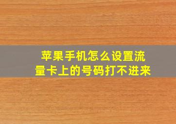 苹果手机怎么设置流量卡上的号码打不进来