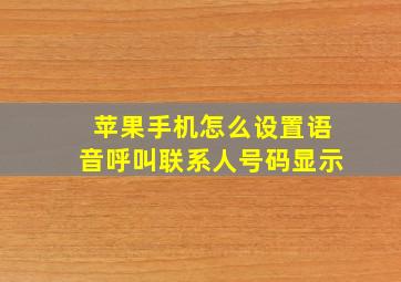 苹果手机怎么设置语音呼叫联系人号码显示