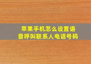 苹果手机怎么设置语音呼叫联系人电话号码