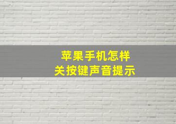 苹果手机怎样关按键声音提示