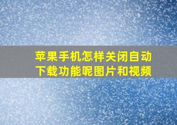 苹果手机怎样关闭自动下载功能呢图片和视频