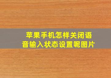 苹果手机怎样关闭语音输入状态设置呢图片