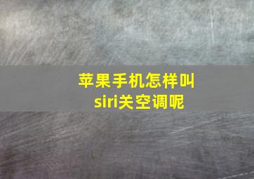 苹果手机怎样叫siri关空调呢