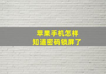 苹果手机怎样知道密码锁屏了