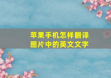 苹果手机怎样翻译图片中的英文文字