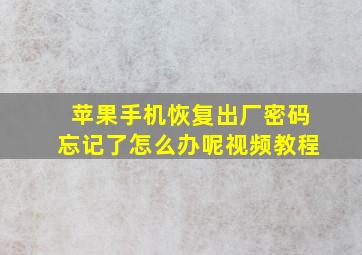 苹果手机恢复出厂密码忘记了怎么办呢视频教程