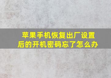 苹果手机恢复出厂设置后的开机密码忘了怎么办