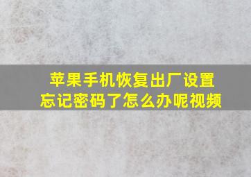 苹果手机恢复出厂设置忘记密码了怎么办呢视频