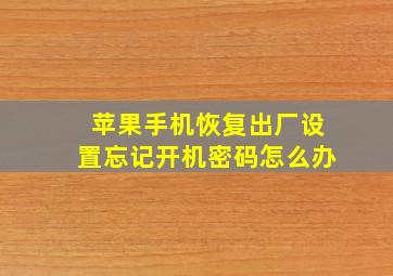 苹果手机恢复出厂设置忘记开机密码怎么办