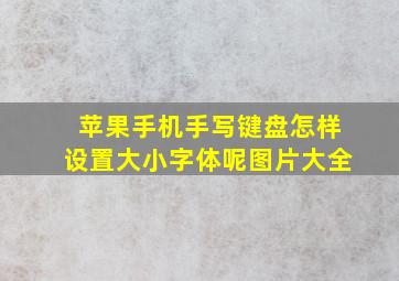 苹果手机手写键盘怎样设置大小字体呢图片大全