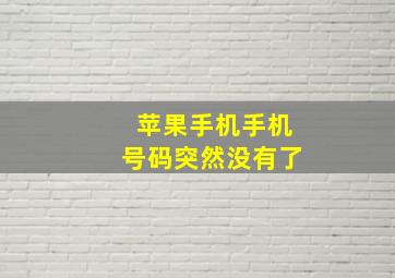 苹果手机手机号码突然没有了