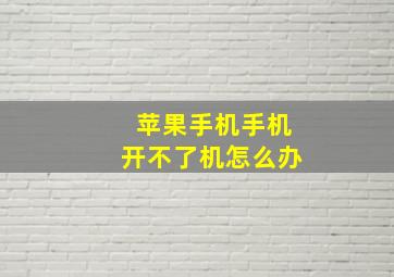 苹果手机手机开不了机怎么办