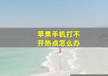 苹果手机打不开热点怎么办