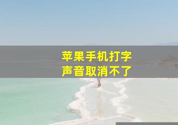 苹果手机打字声音取消不了