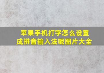 苹果手机打字怎么设置成拼音输入法呢图片大全