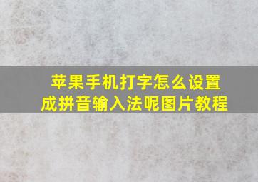 苹果手机打字怎么设置成拼音输入法呢图片教程