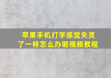 苹果手机打字感觉失灵了一样怎么办呢视频教程