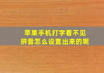 苹果手机打字看不见拼音怎么设置出来的呢