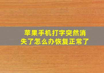 苹果手机打字突然消失了怎么办恢复正常了