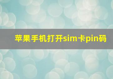 苹果手机打开sim卡pin码