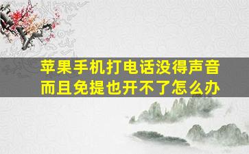 苹果手机打电话没得声音而且免提也开不了怎么办