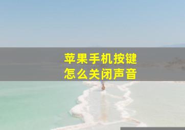 苹果手机按键怎么关闭声音