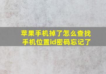 苹果手机掉了怎么查找手机位置id密码忘记了