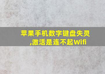 苹果手机数字键盘失灵,激活是连不起Wifi