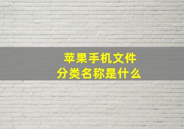 苹果手机文件分类名称是什么