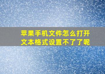 苹果手机文件怎么打开文本格式设置不了了呢