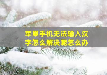 苹果手机无法输入汉字怎么解决呢怎么办