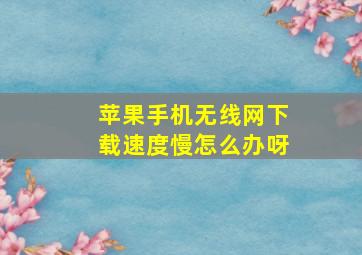 苹果手机无线网下载速度慢怎么办呀