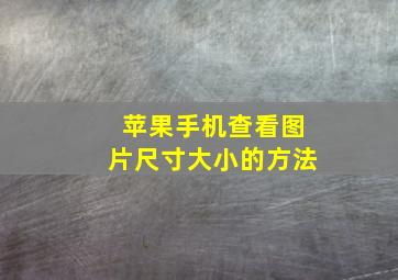 苹果手机查看图片尺寸大小的方法