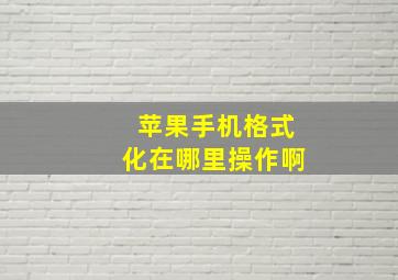 苹果手机格式化在哪里操作啊