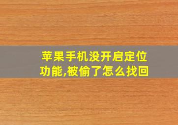 苹果手机没开启定位功能,被偷了怎么找回