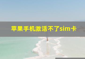 苹果手机激活不了sim卡