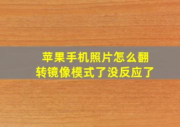 苹果手机照片怎么翻转镜像模式了没反应了