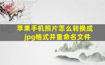 苹果手机照片怎么转换成jpg格式并重命名文件