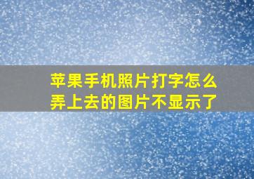 苹果手机照片打字怎么弄上去的图片不显示了