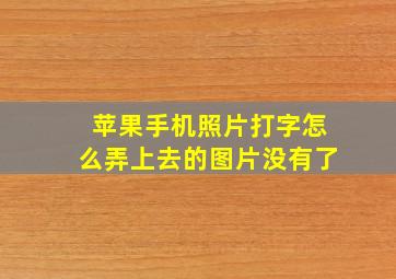 苹果手机照片打字怎么弄上去的图片没有了