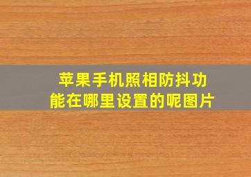 苹果手机照相防抖功能在哪里设置的呢图片