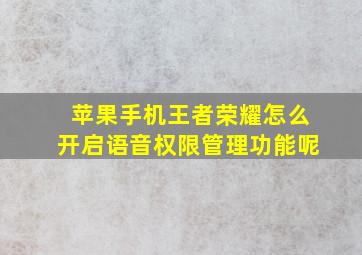 苹果手机王者荣耀怎么开启语音权限管理功能呢