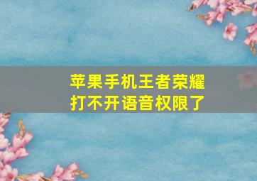 苹果手机王者荣耀打不开语音权限了