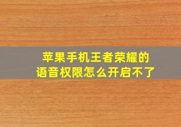 苹果手机王者荣耀的语音权限怎么开启不了